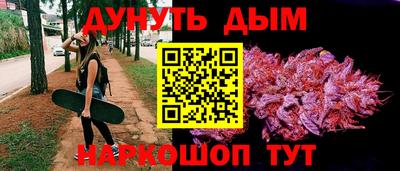 ECSTASY Новодвинск