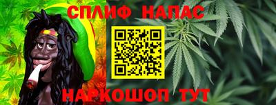 ГАЛЛЮЦИНОГЕННЫЕ ГРИБЫ Новозыбков