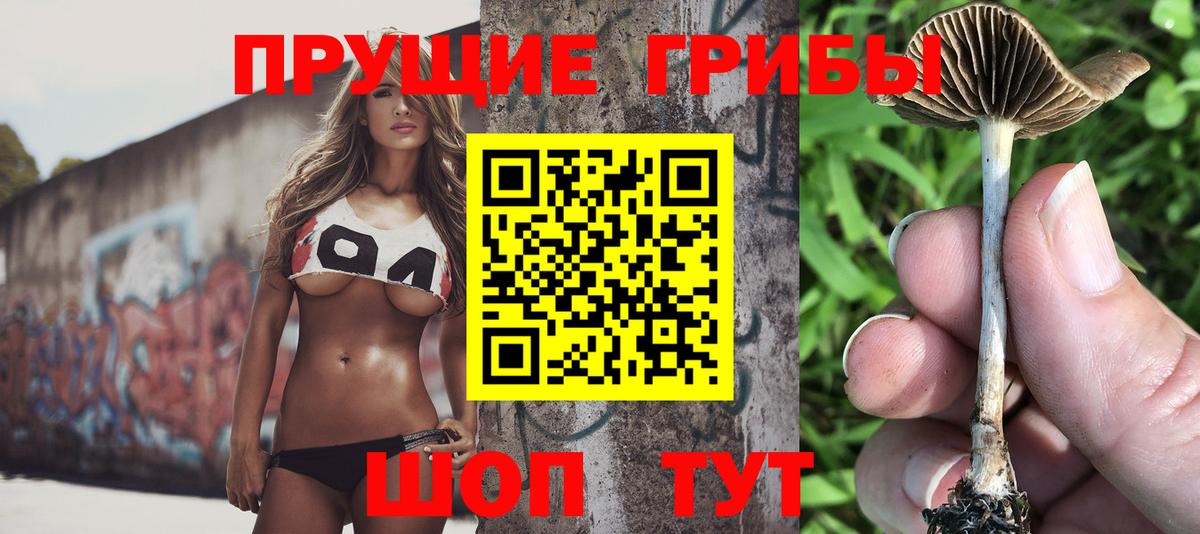 купить наркоту  Псилоцибиновые грибы мицелий  Псилоцибиновые грибы Cubensis  Вход с VPN  Троицк 