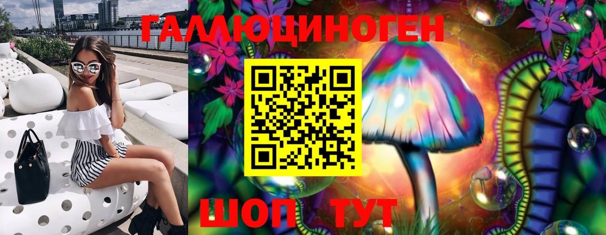 Псилоцибиновые грибы Psilocybine cubensis Троицк